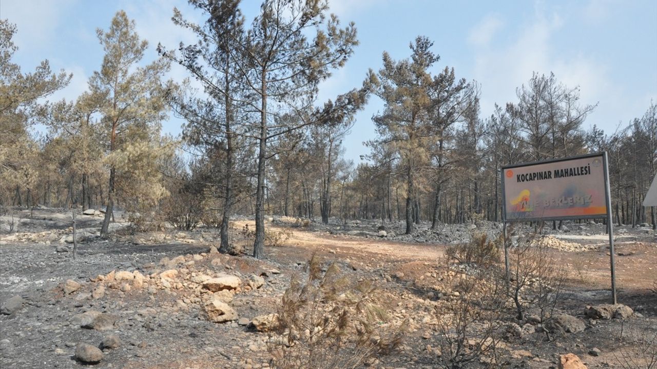 Mersin Silifke'deki Orman Yangınına Müdahale Devam Ediyor