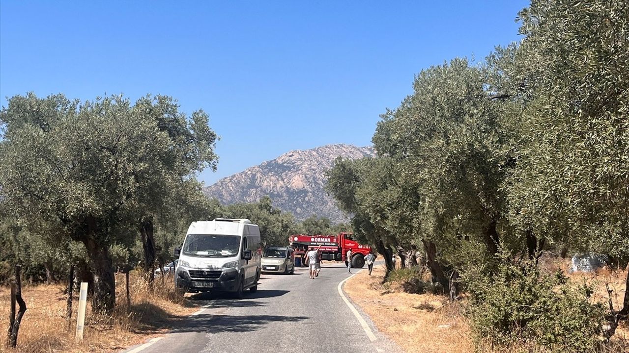 Milas'ta Ormanlık Alanda Yangın Söndürme Çalışmaları Sürüyor