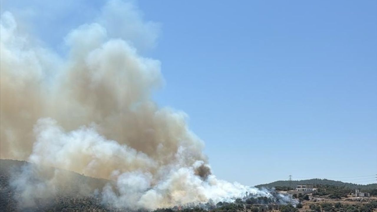 Milas'ta Ziraat Alanında Yangın Söndürüldü