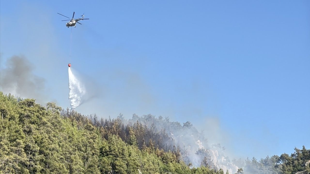 Milas'taki Orman Yangınları: İki Bölgeden Biri Kontrol Altında