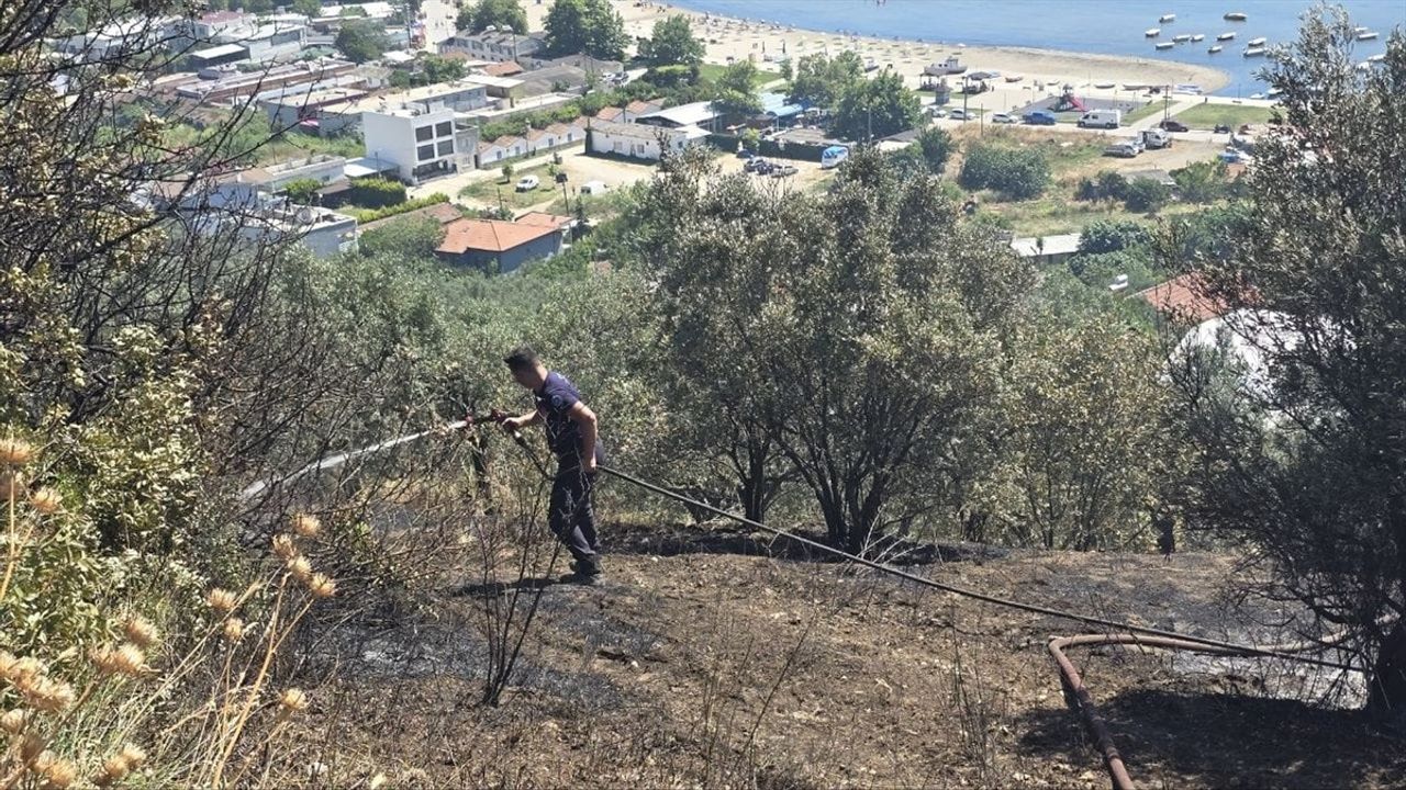 Mudanya'da Zeytinlik Yangını Kontrol Altına Alındı