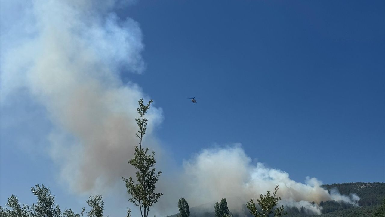 Muğla'da Orman Yangını: Kontrol Altına Alma Mücadelesi Devam Ediyor