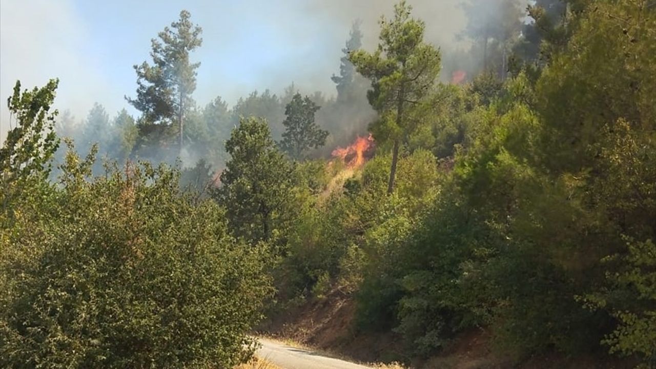 Muğla'da Orman Yangınına Hızla Müdahale Ediliyor