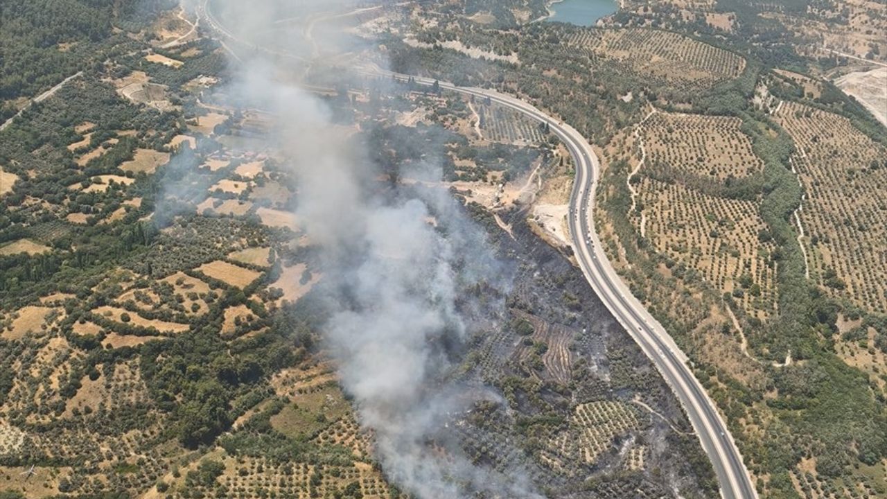 Muğla'da Tarım Alanında Yangın: Havadan ve Karadan Müdahale