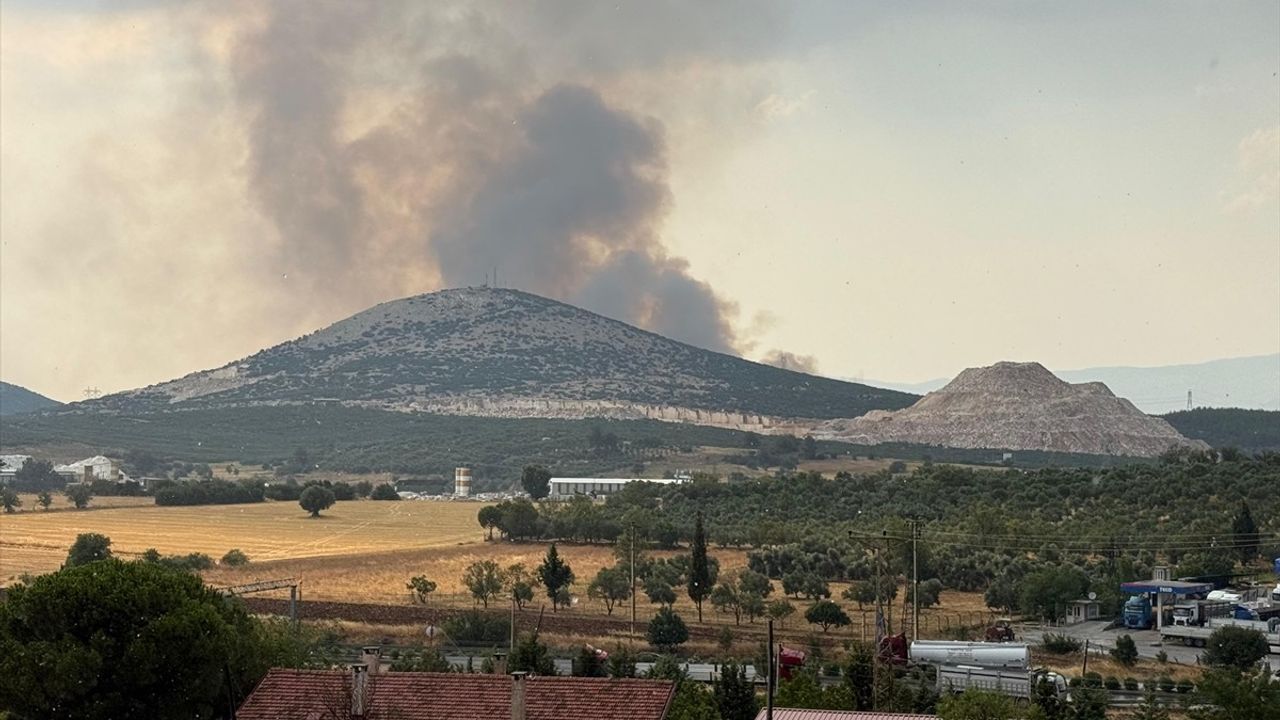 Muğla'da Yıldırım Kaynaklı Orman Yangınına Hızla Müdahale Ediliyor