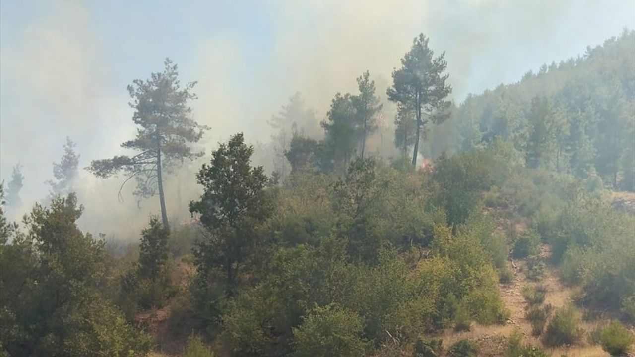 Muğla'daki Orman Yangını Kontrol Altına Alındı