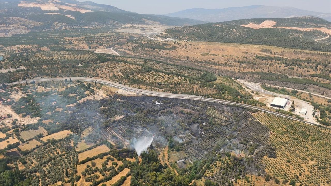 Muğla'daki Tarım Arazisi Yangını Kontrol Altına Alındı