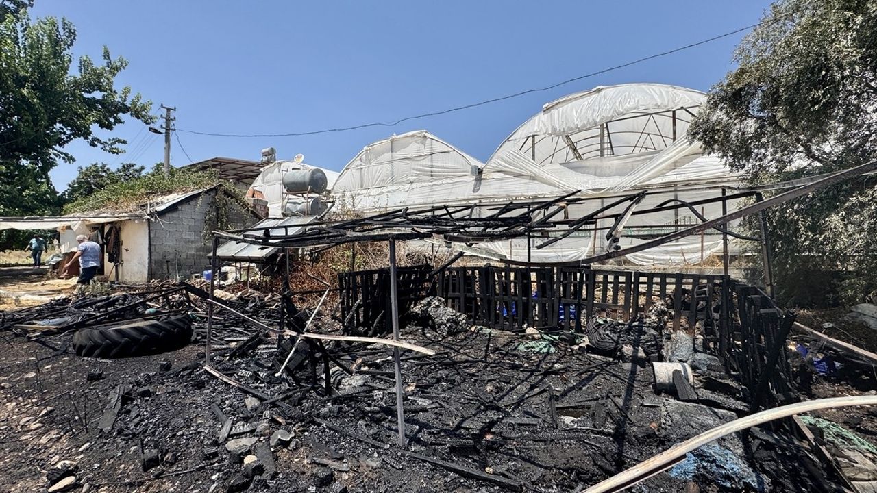 Muğla Fethiye'de Otluk Alanda Yangın Kontrol Altında