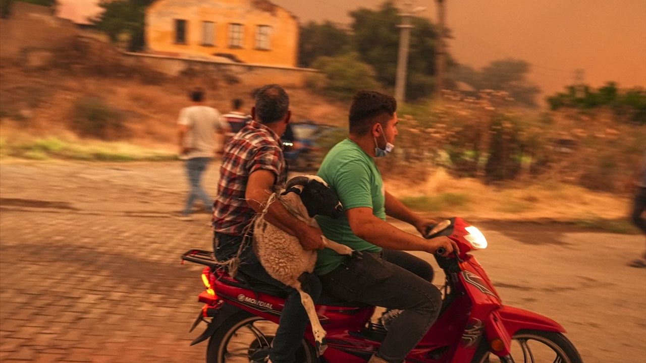 Ödemiş'teki Orman Yangınına Hızla Müdahale Ediliyor