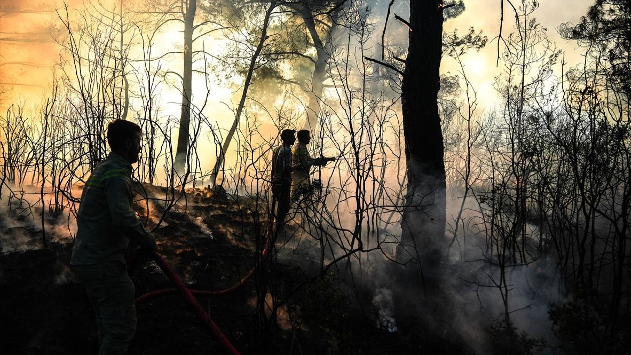 Orman İşçileri, Alevlere Karşı Kahramanca Mücadele Ediyor
