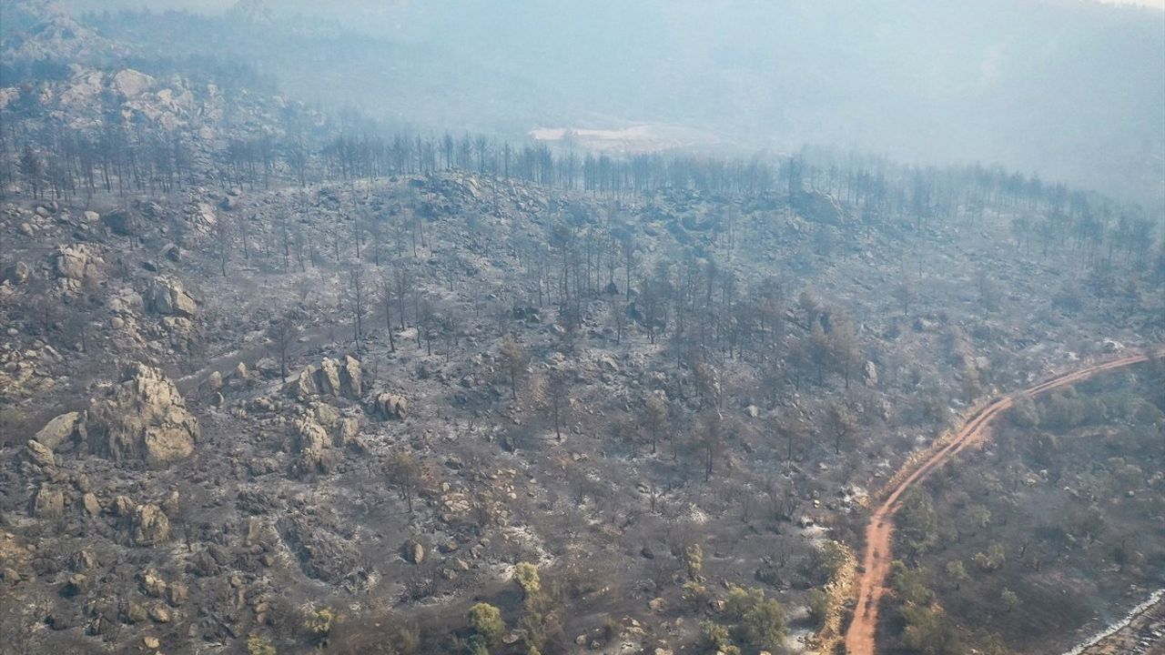 Sakarya-Bilecik Orman Yangını 4. Günde Kontrol Altında