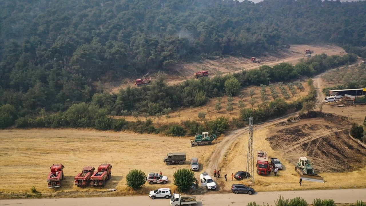 Sakarya-Bilecik Orman Yangını: Dördüncü Günde Mücadele Sürüyor