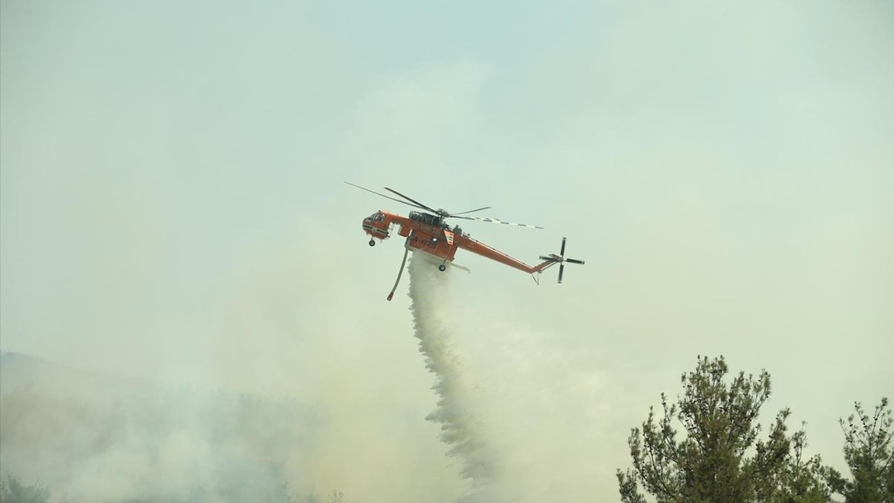 Sakarya-Bilecik Orman Yangınına Müdahale Devam Ediyor