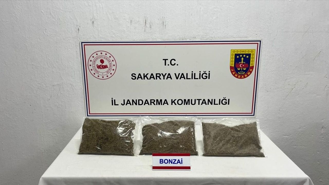 Sakarya'da 2 Kilo 750 Gram Uyuşturucu Ele Geçirildi: Zanlı Tutuklandı
