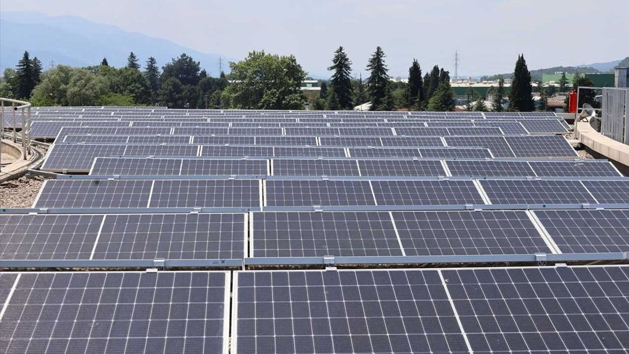 Sakarya'da Güneş Enerji Santrali ile 20 Günde 40 Ton Karbon Salınımı Önledi