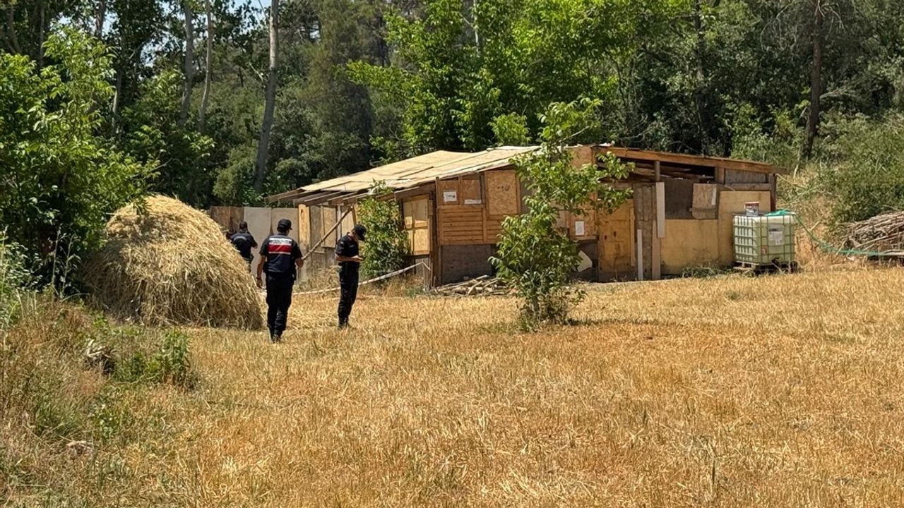 Sakarya'da Kayıp Kişi Bahçesinde Ölü Bulundu