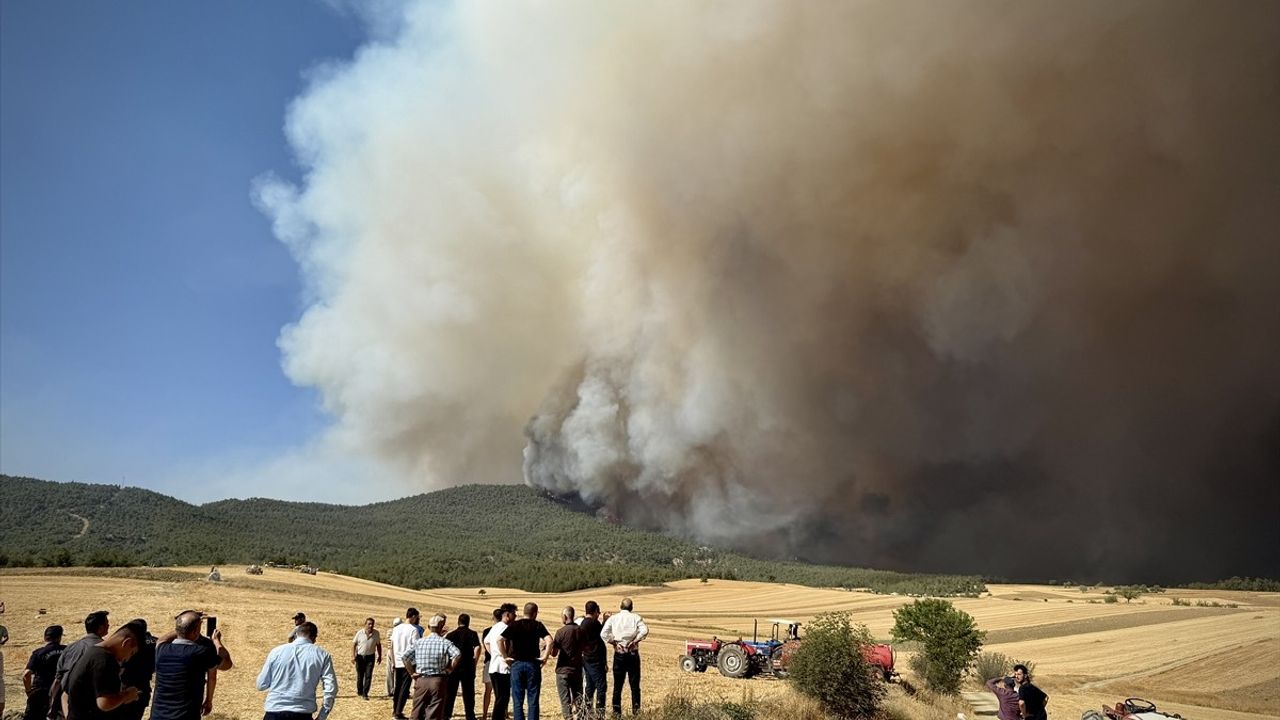Sakarya'da Orman Yangını Bilecik'i Tehdit Ediyor