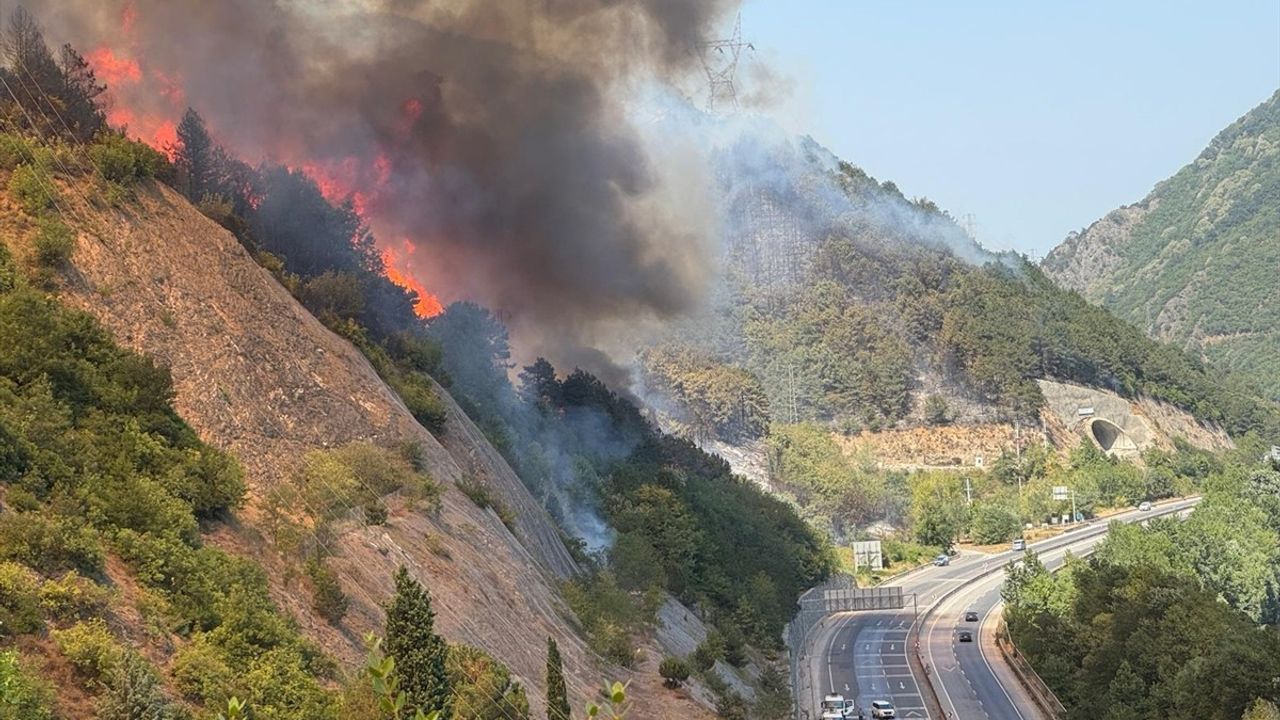 Sakarya'da Orman Yangını: D-650 Kara Yolu Kapalı