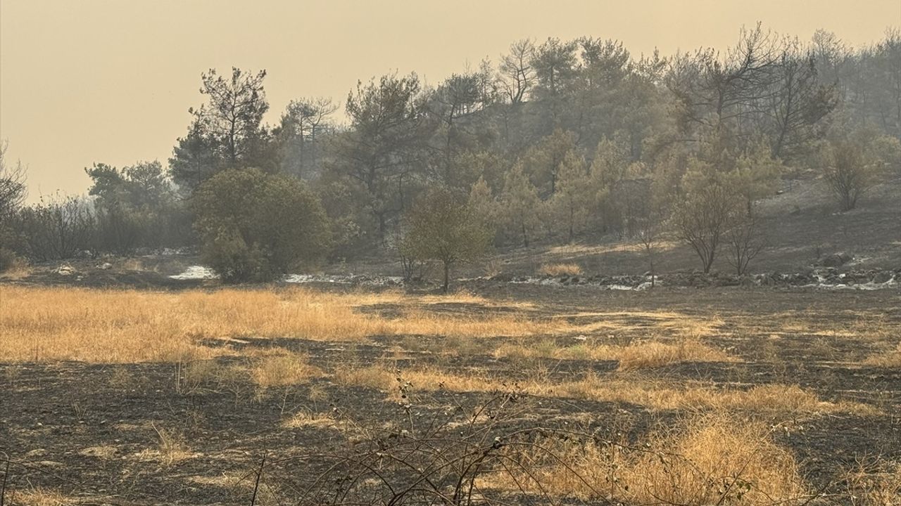 Sakarya'da Orman Yangını: Duygusal Anlatım ve Müdahale Çabaları