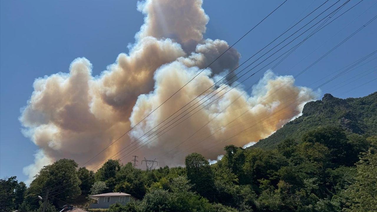 Sakarya'da Orman Yangını: Havadan ve Karadan Mücadele Başladı