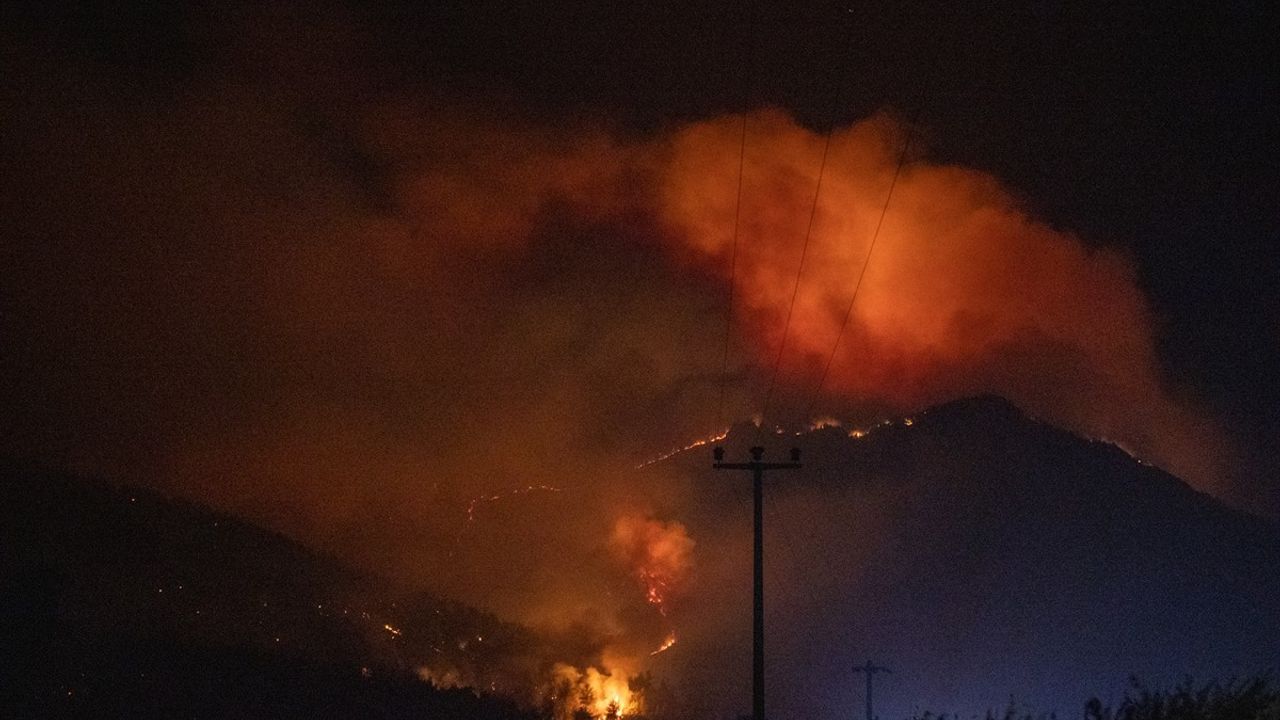 Sakarya'da Orman Yangını: İki Mahalle Tahliye Edildi
