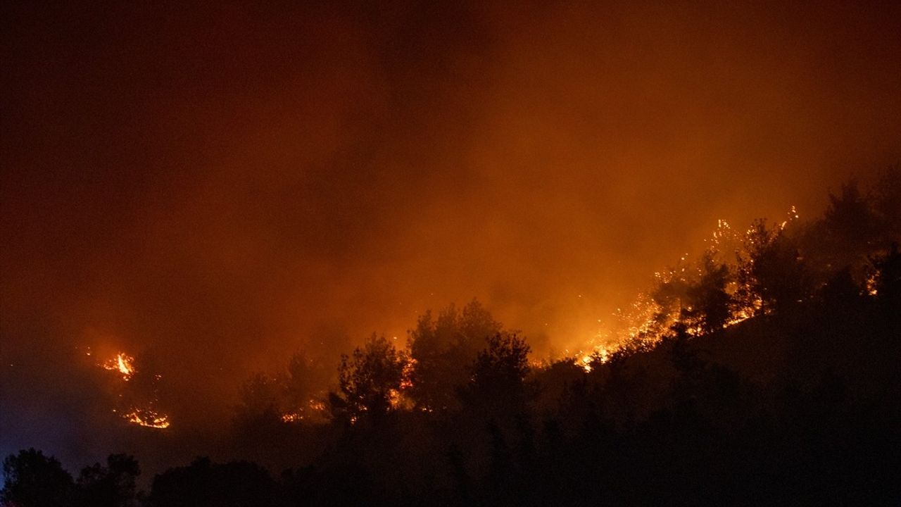 Sakarya'da Orman Yangını: Taşoluk Mahallesi Tahliye Edildi
