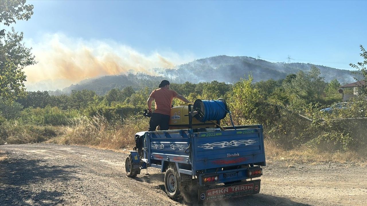 Sakarya'da Orman Yangınına Müdahale Devam Ediyor