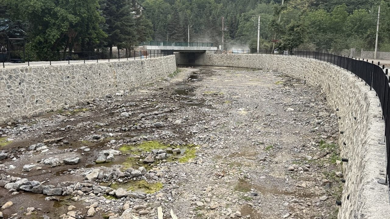 Sakarya'daki Maden Deresi Şelalesi Kurudu: Kuraklık Tehdidi Büyüyor