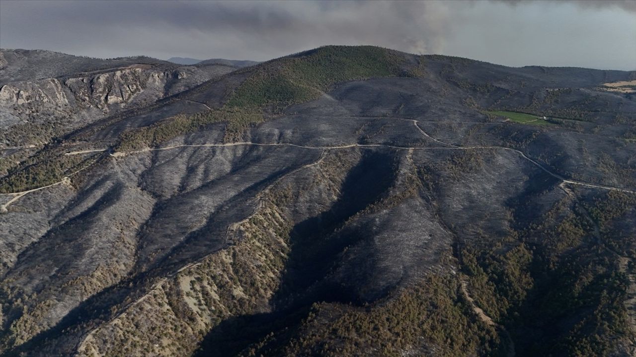 Sakarya'daki Orman Yangını Havadan Görüntülendi: Tahribat Üzerine Tüyler Ürperten Manzaralar