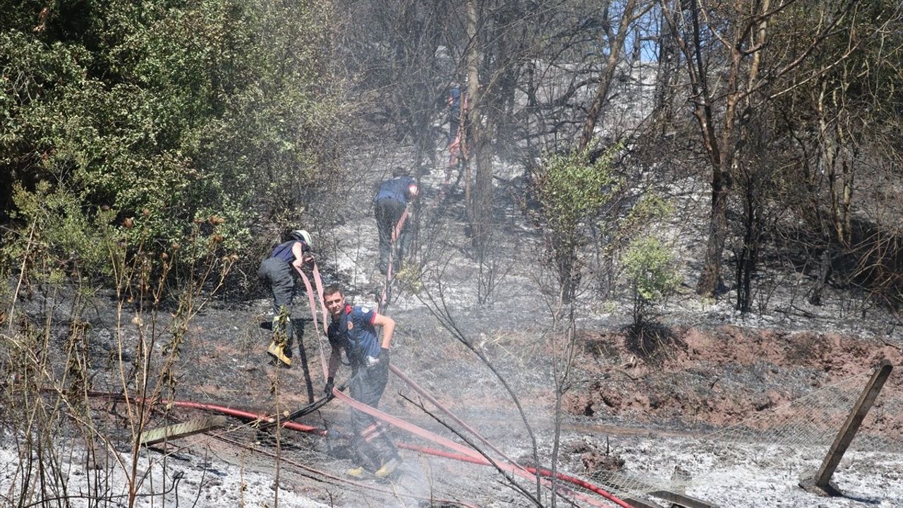 Sakarya'daki Orman Yangını Kontrol Altına Alındı