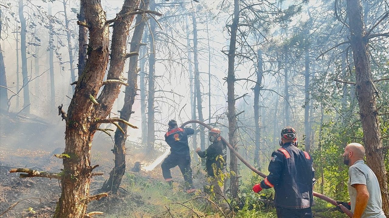 Sakarya'daki Orman Yangını Kontrol Altına Alındı