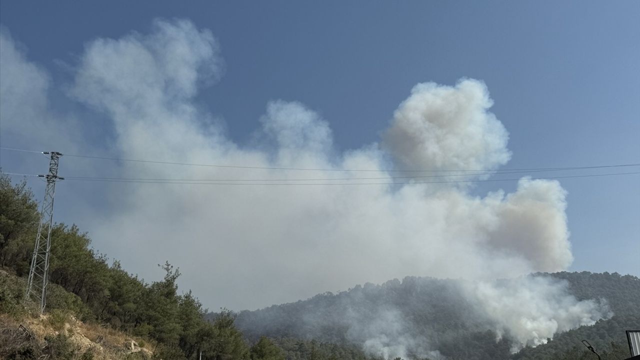 Sakarya'daki Orman Yangını Üçüncü Günde Kontrol Altına Alma Çalışmaları Devam Ediyor