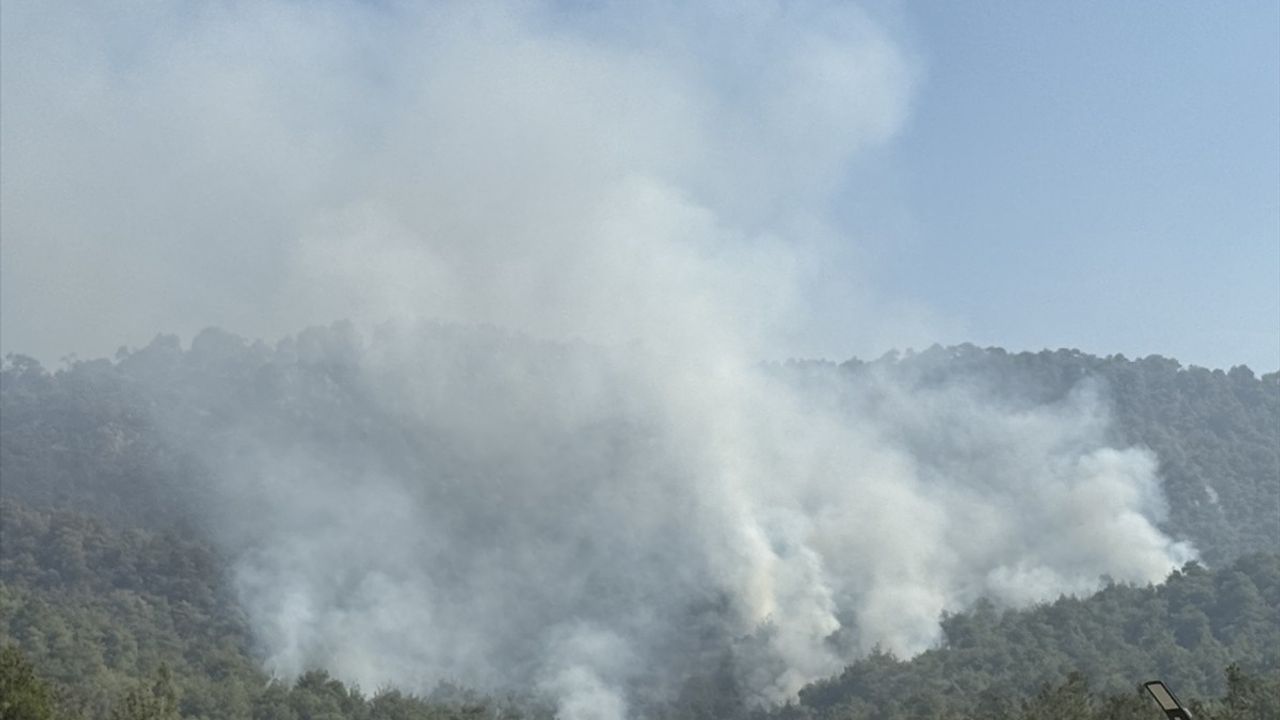 Sakarya'daki Orman Yangınına 3. Gününde Müdahale Devam Ediyor