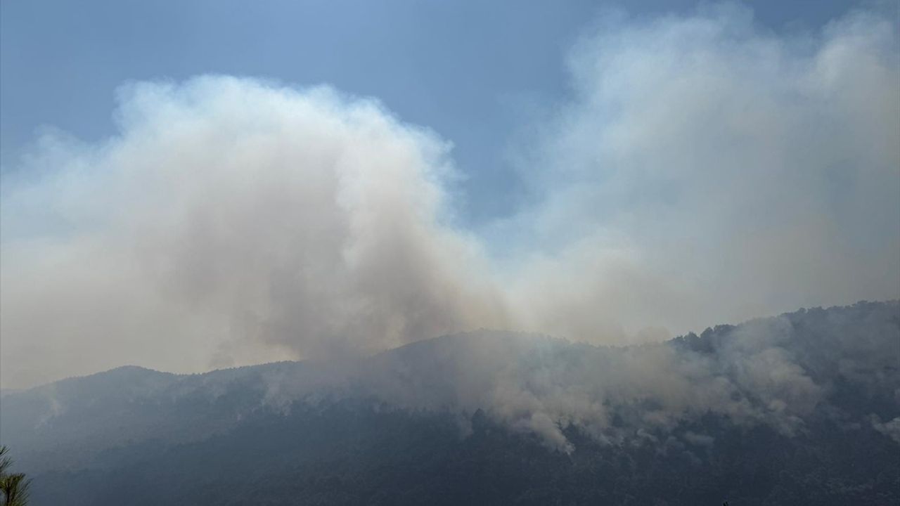 Sakarya’dan Bilecik'e Sıçrayan Yangın Kontrol Altına Alınmaya Çalışılıyor