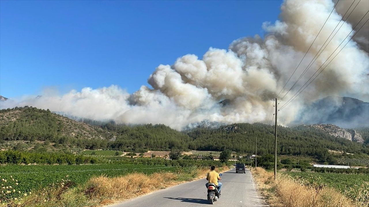 Sakarya'nın Geyve İlçesinde Orman Yangınına Müdahale Devam Ediyor
