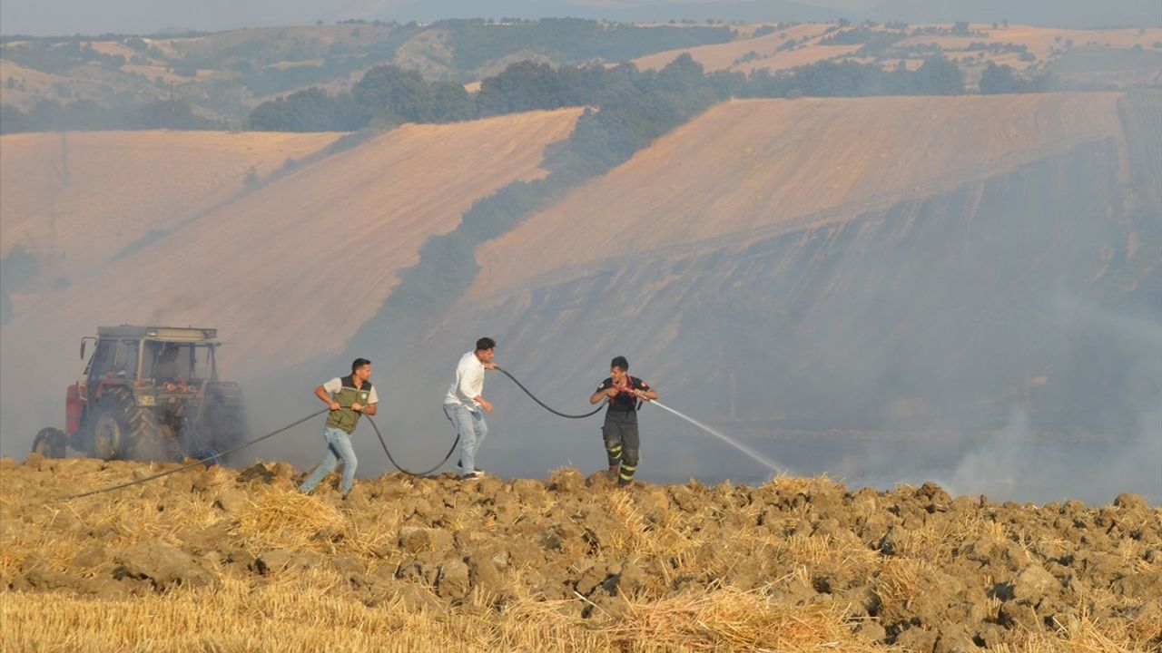 Samsun'da Anız Yangını: 50 Dekar Tarım Arazisi Zarar Gördü
