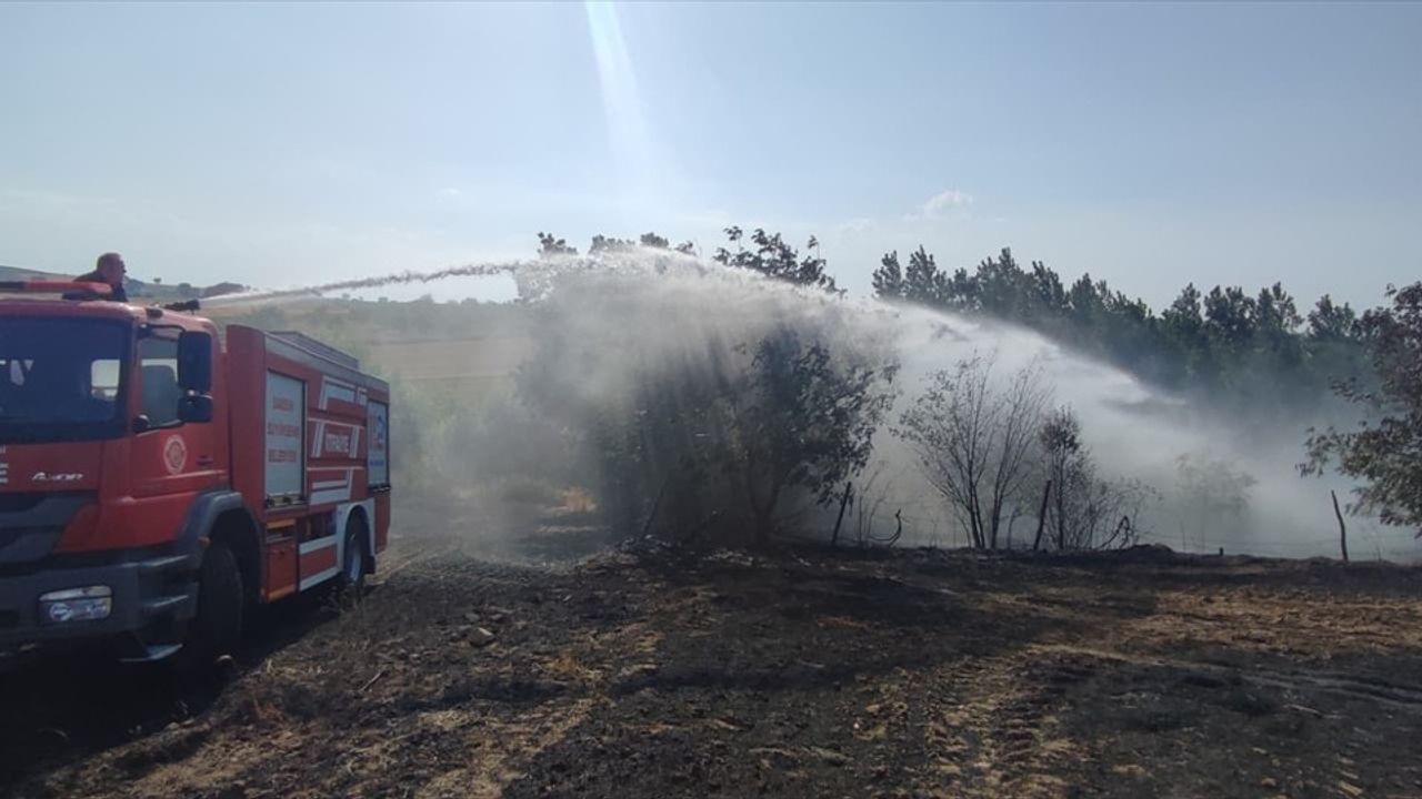 Samsun'da Ekili Arazide Çıkan Yangında 40 Dönüm Zarar Gördü