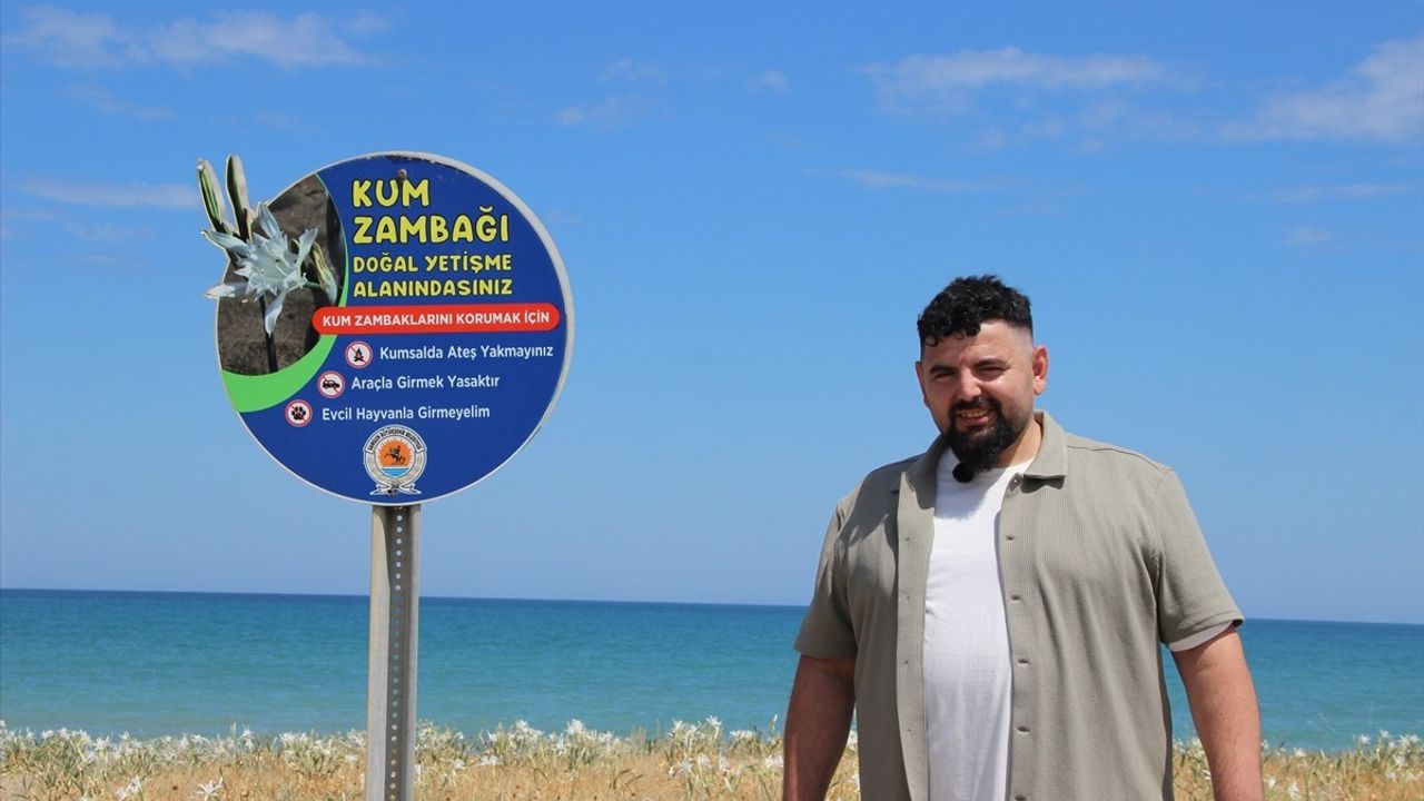 Samsun'da Kum Zambakları Sahili Beyaza Bürüyor