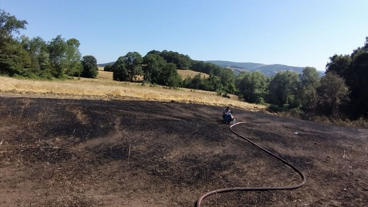 Samsun'da Tarım Arazisinde Yangın: 16 Dönüm Zarar Gördü