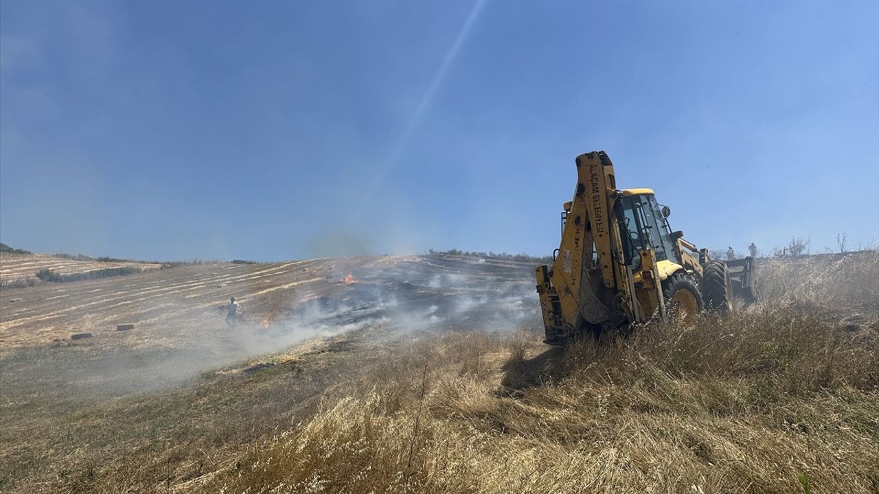 Samsun'da Tarım Arazisinde Yangın: 50 Dönüm Zarar Gördü