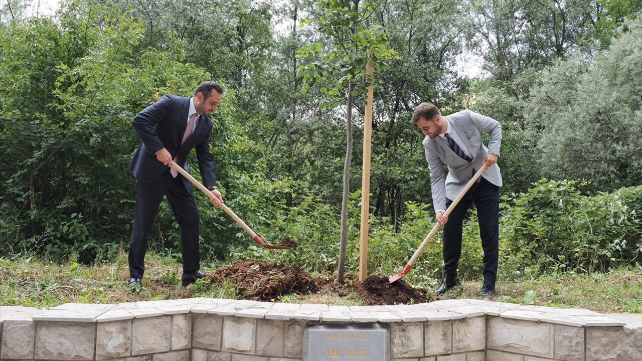 Saraybosna'da Büyükelçi Akseki'ye Hatıra Fidanı Dikildi