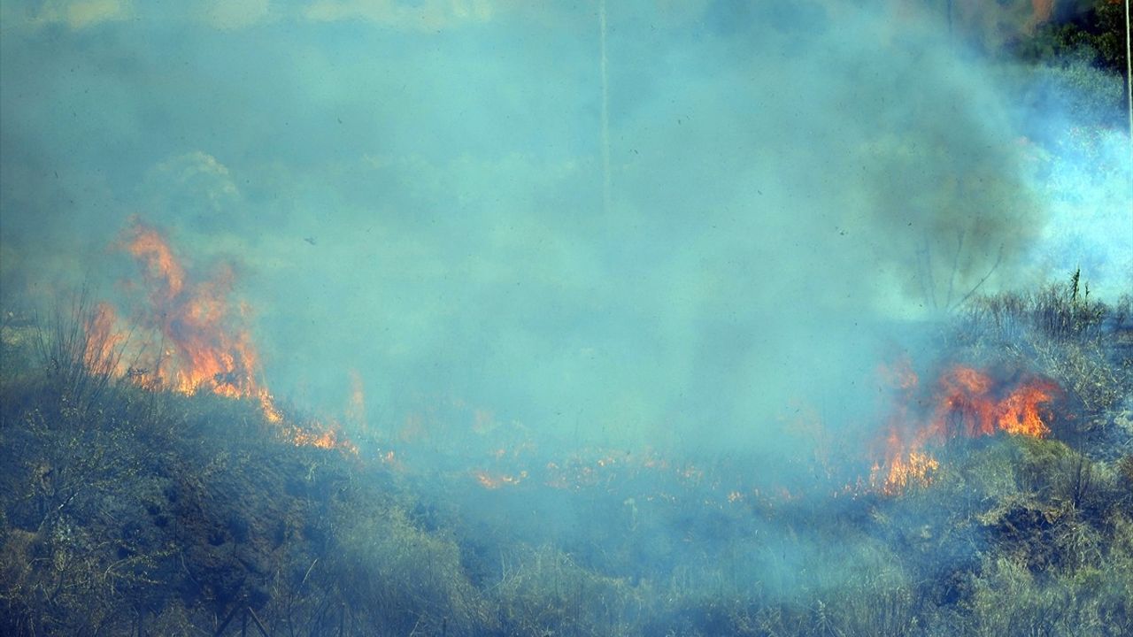 Sicilya Adası'ndaki Orman Yangını Yerleşimleri Tehdit Ediyor