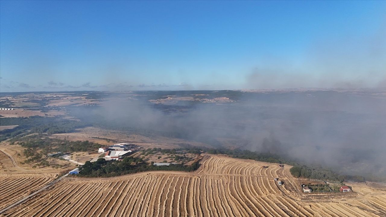 Silivri'de Orman Yangını: 100 Hektar Alan Zarar Gördü