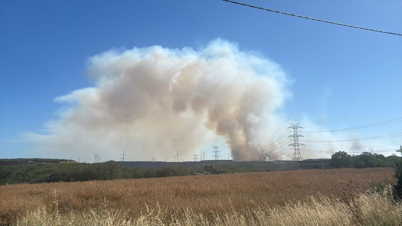 Silivri'de Orman Yangınına Hızla Müdahale Ediliyor