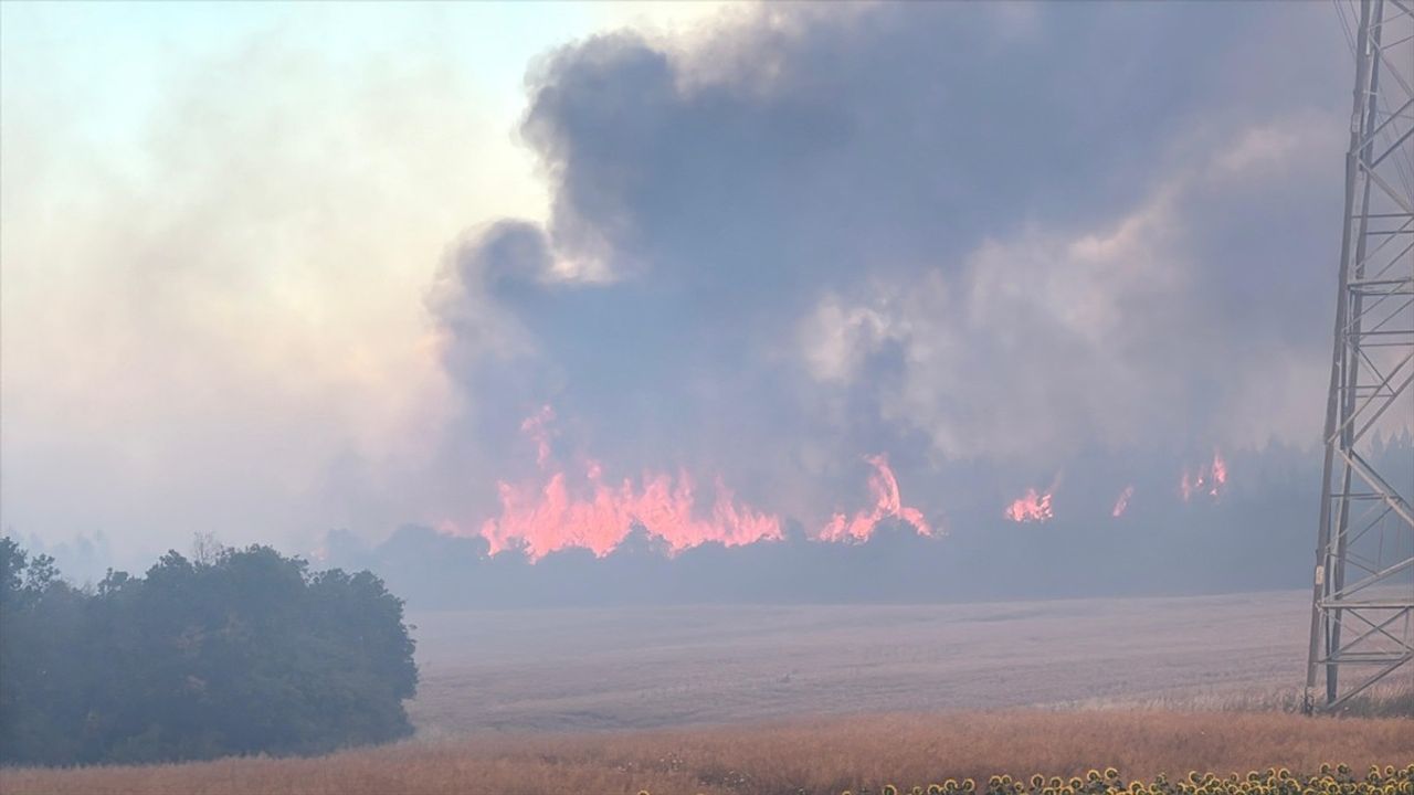 Silivri Orman Yangınına Hızla Müdahale Ediliyor