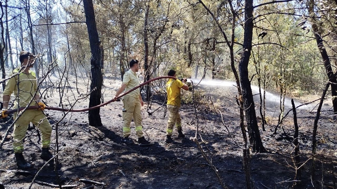 Sinop'ta Orman Yangını: 8 Dönüm Alan Zarar Gördü