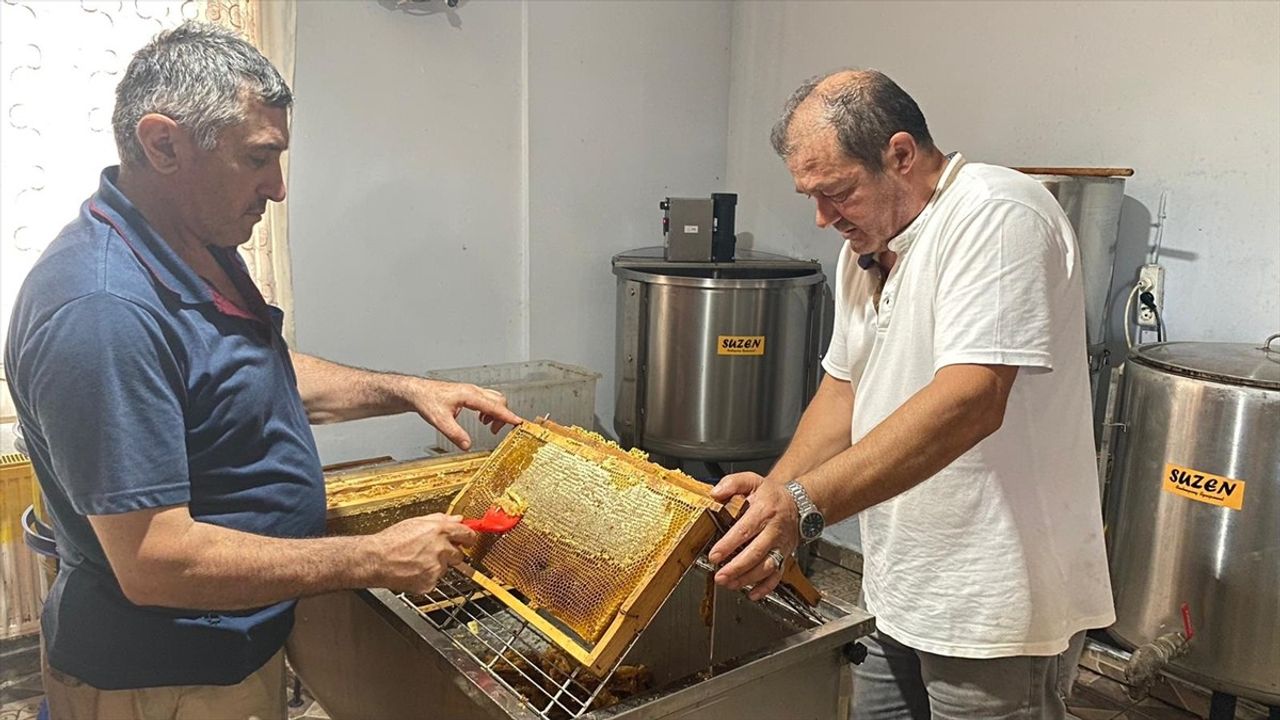 Sinop'ta Tescilli Kestane Balı Hasadı Tamamlandı