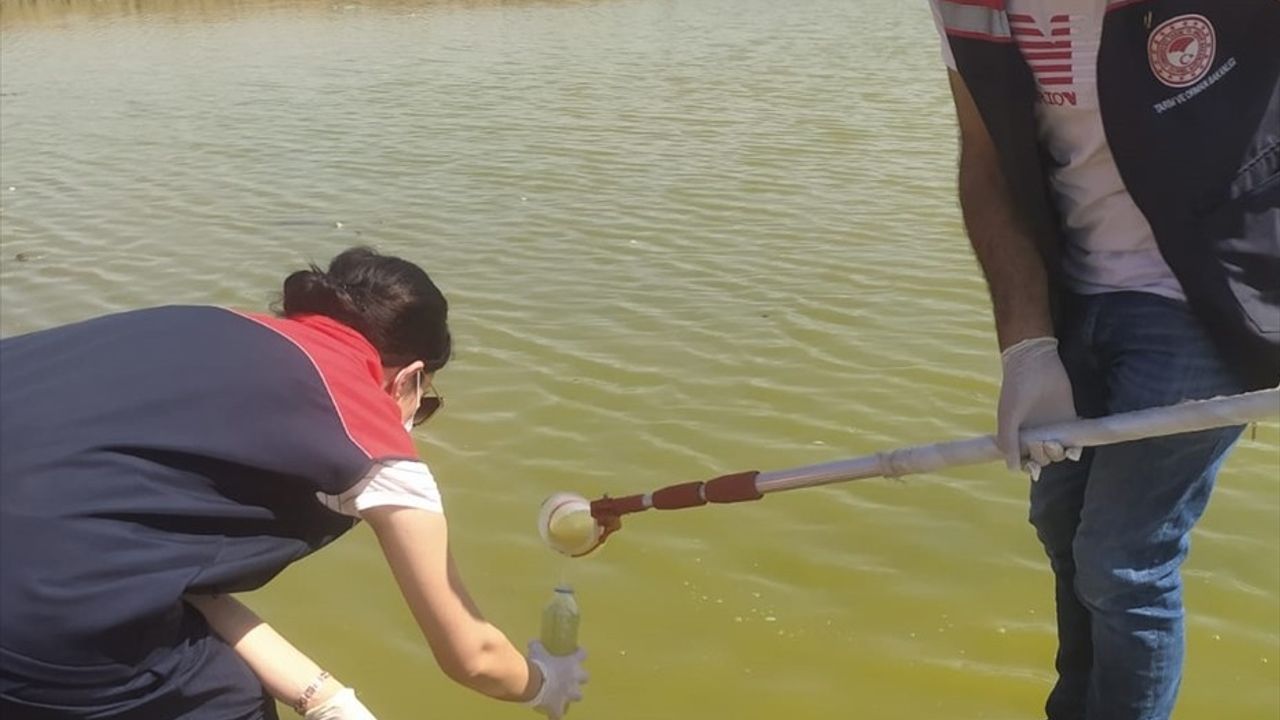 Şırnak'ta İki Gölette Balık Ölümleri Üzerine İnceleme Başlatıldı