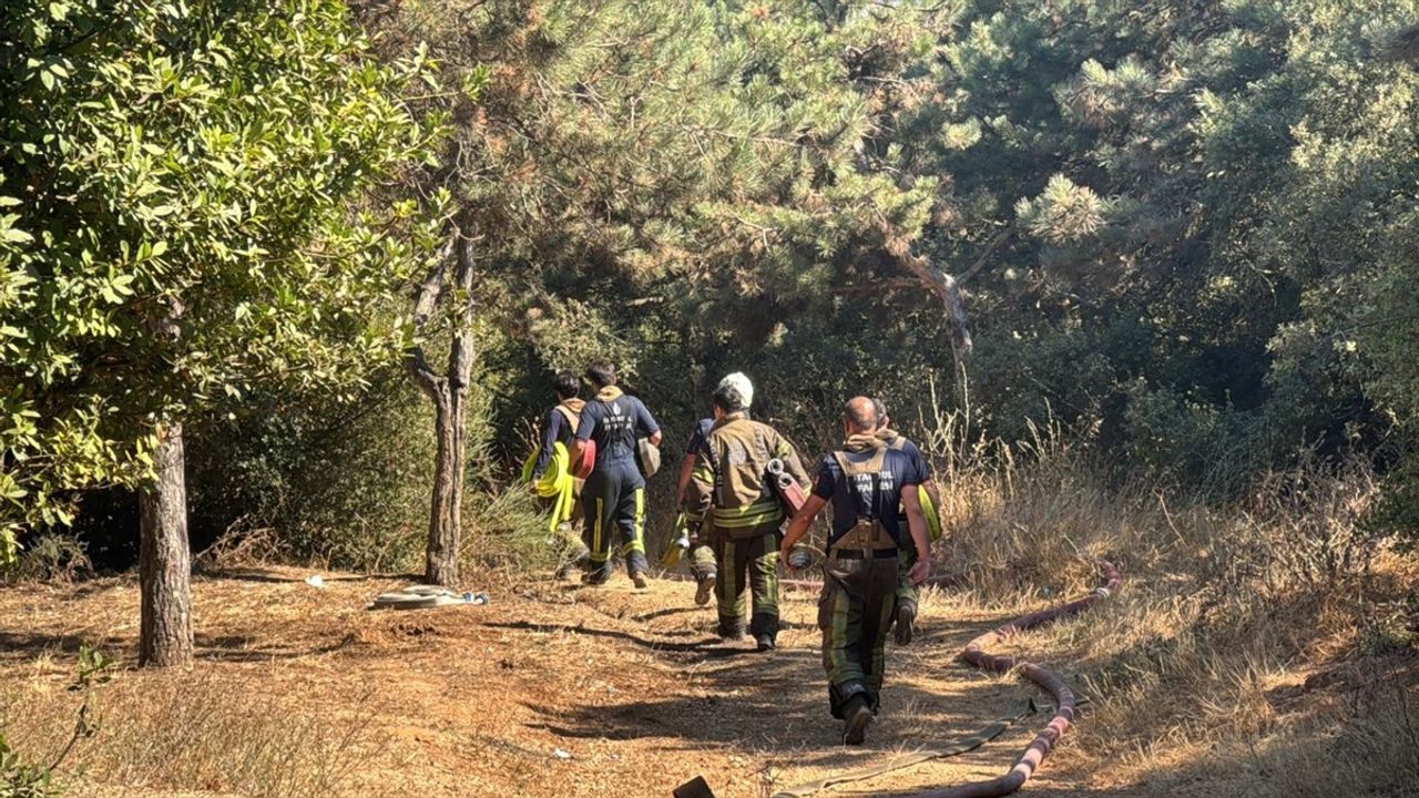 Sultangazi'de Hacı Bektaş-ı Veli Kent Ormanı'nda Yangın