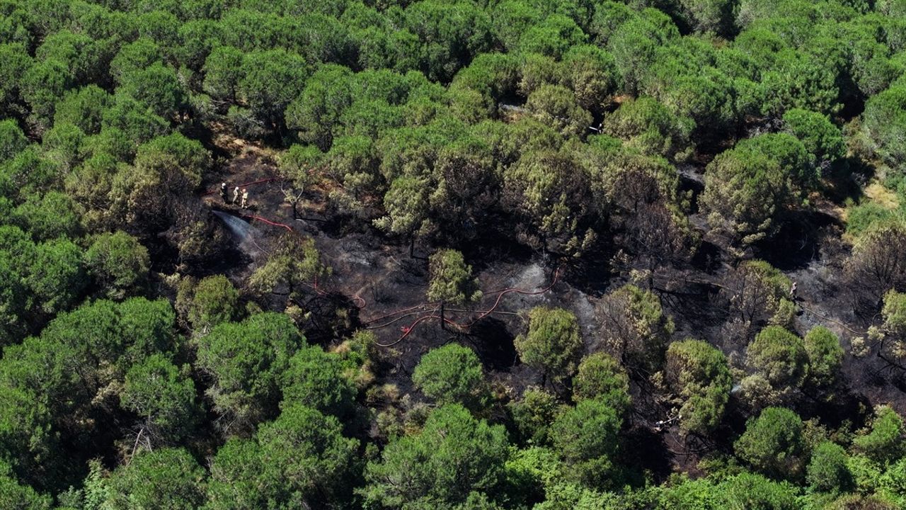 Sultangazi'de Orman Yangınına İtfaiye Müdahalesi